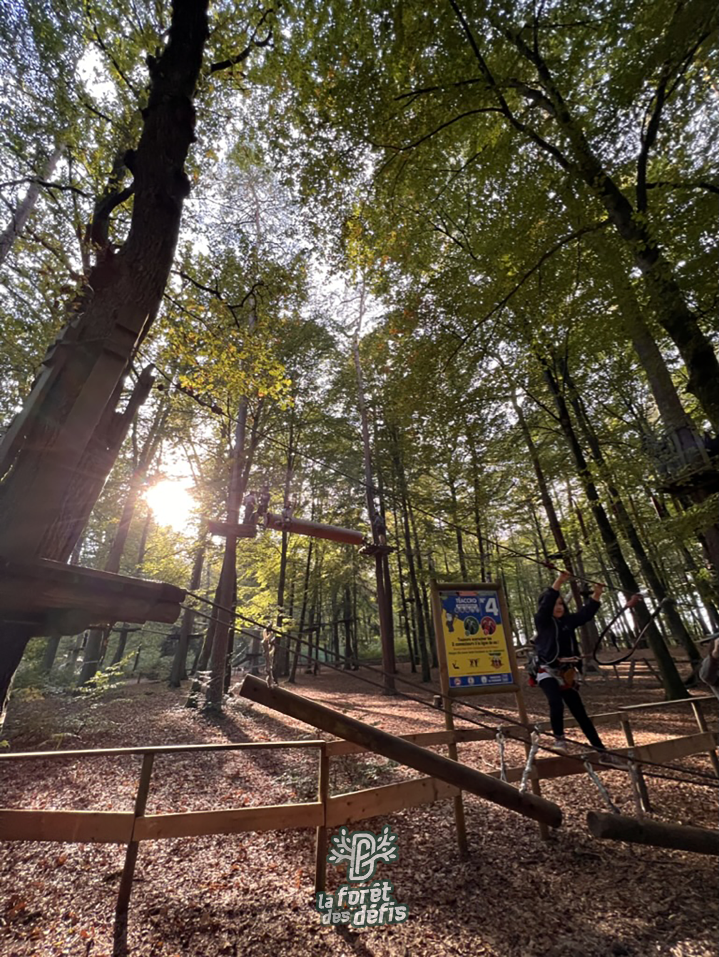 foret-des-defis-taccro-22-2