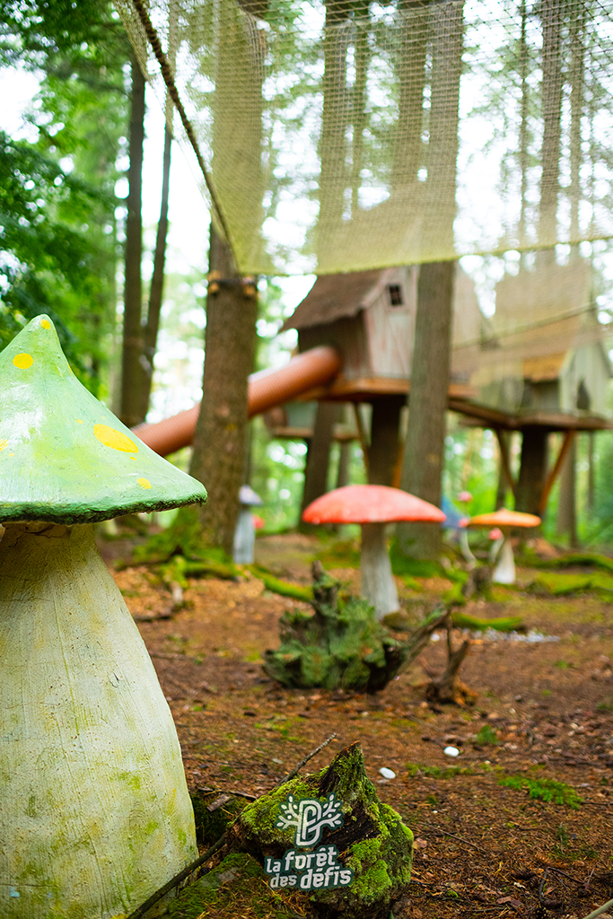la-foret-des-defis-telutin-9